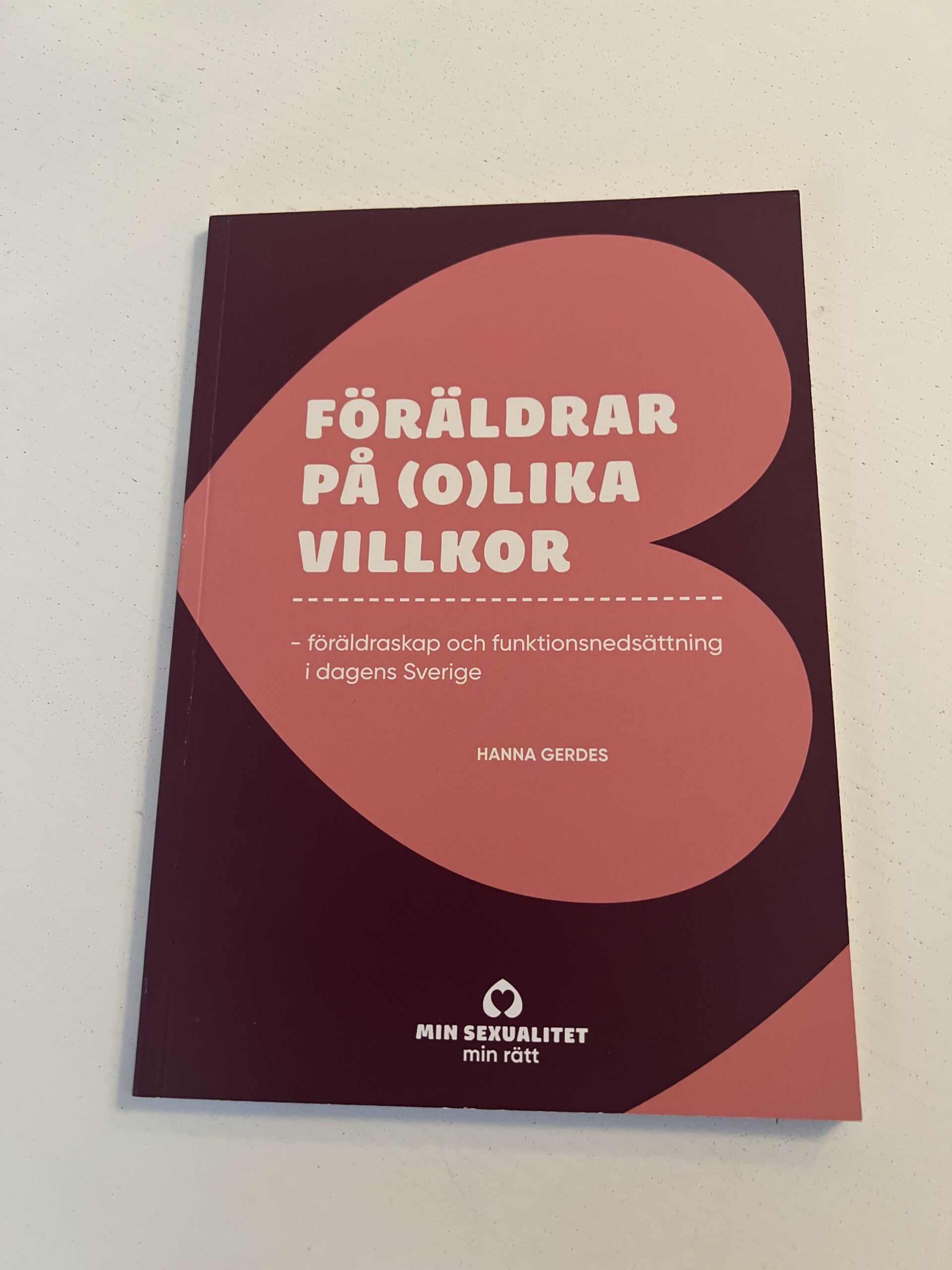 Hanna and Goliath - Law & Education