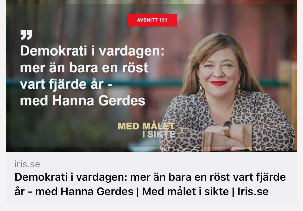 Demokrati i fokus